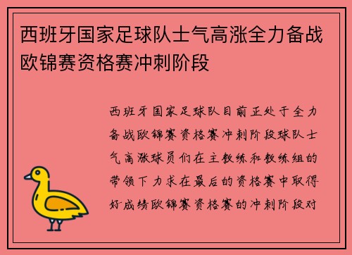 西班牙国家足球队士气高涨全力备战欧锦赛资格赛冲刺阶段